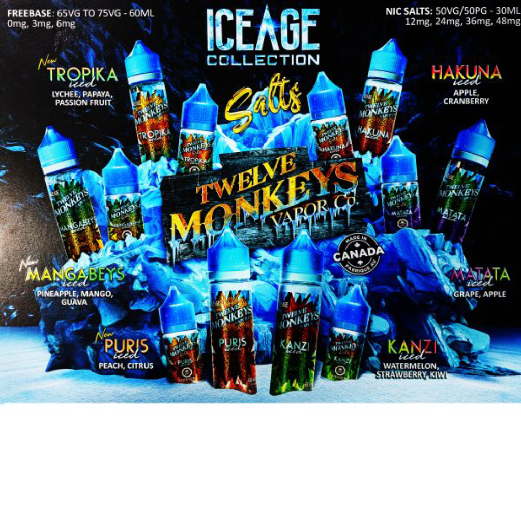 12 Monkeys Ice Age CG